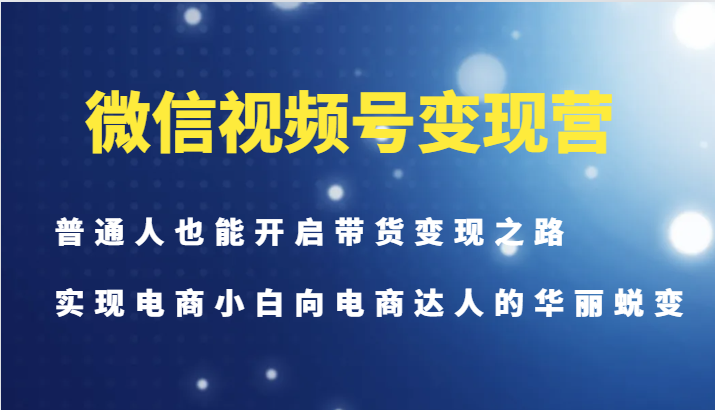 微信视频号变现营-普通人也能开启带货变现之路，实现电商小白向电商达人的华丽蜕变-鼎誉项目网