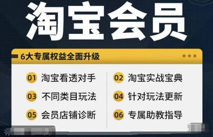 淘宝会员【淘宝所有课程，全面分析对手】，初级到高手全系实战宝典-鼎誉项目网