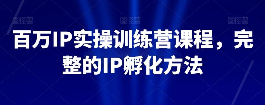 百万IP实操训练营课程，完整的IP孵化方法-鼎誉项目网