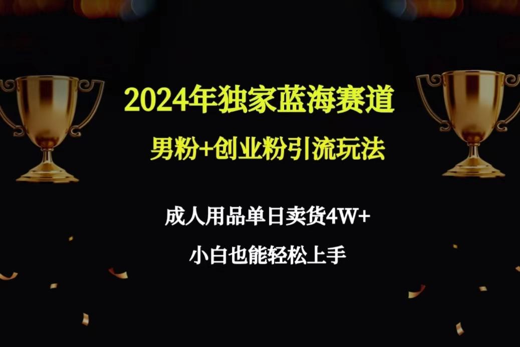2024年独家蓝海赛道男粉+创业粉引流玩法，成人用品单日卖货4W+保姆教程-鼎誉项目网