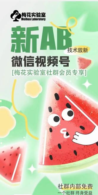 梅花实验室2024年AB技术视频号AB合成破解版-鼎誉项目网