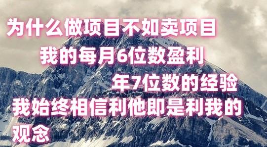 做项目不如卖项目，每月6位数盈利，年7位数经验-鼎誉项目网