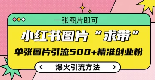 小红书图片‘求带’爆火引流法，单张图片引流500+精准创业粉【揭秘】-鼎誉项目网