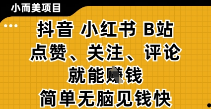 小而美的项目，抖音小红书B站视频点赞、关注、评论就能挣钱，简单无脑立见收益，妥妥的零撸项目【揭秘】-鼎誉项目网
