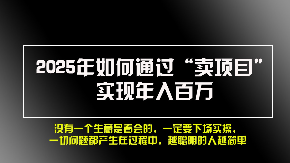 2025年如何通过“卖项目”实现年入百万-鼎誉项目网