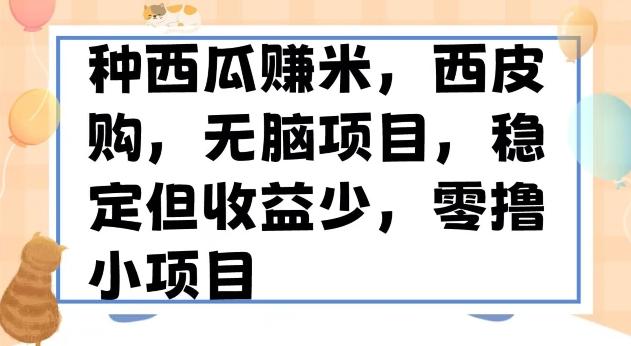 种西瓜赚米，西皮购稳定长久零撸小项目-鼎誉项目网