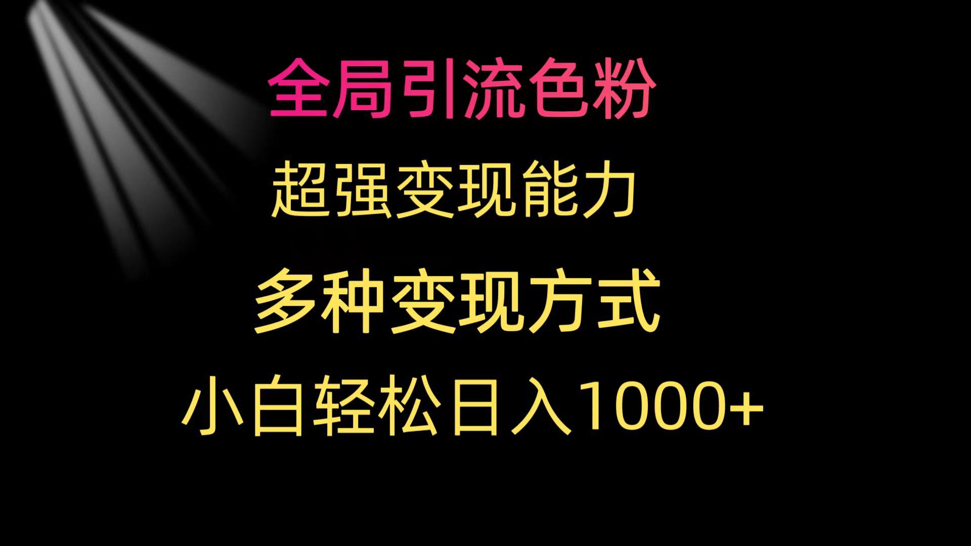 (9680期)全局引流色粉 超强变现能力 多种变现方式 小白轻松日入1000+-鼎誉项目网