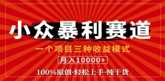 视频号最新爆火赛道，三种可收益模式，0粉新号条条原创条条热门 日入1000+-鼎誉项目网