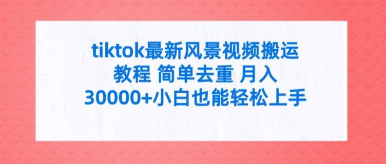 tiktok最新风景视频搬运教程 简单去重 月入3W+小白也能轻松上手【揭秘】-鼎誉项目网