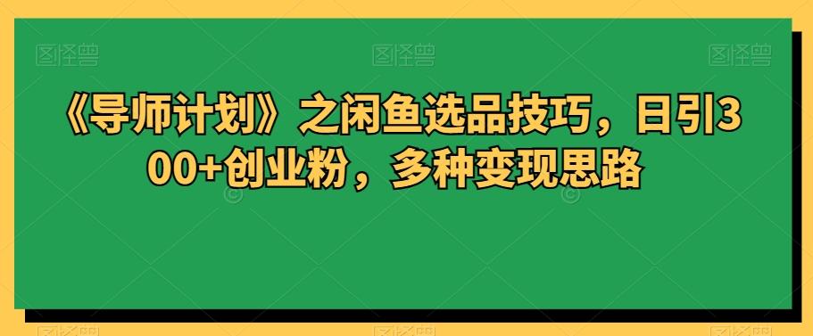 《导师计划》之闲鱼选品技巧，日引300+创业粉，多种变现思路-鼎誉项目网
