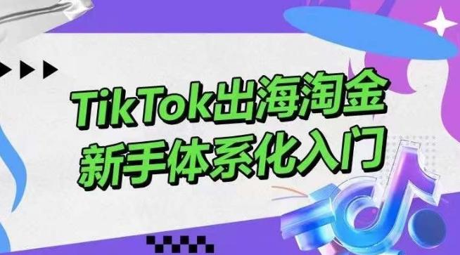 TikTok出海淘金，新手体系化入门，零基础快速入门，掌握短视频、直播带货等引流到变现的知识-鼎誉项目网