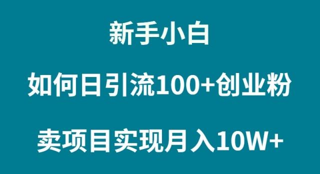 (9556期)新手小白如何通过卖项目实现月入10W+-鼎誉项目网