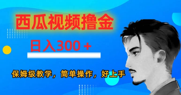 西瓜视频撸金日入300，保姆级教学，简单操作，好上手-鼎誉项目网