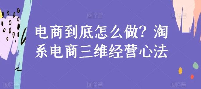 电商到底怎么做？淘系电商三维经营心法-鼎誉项目网