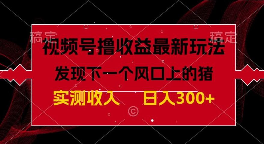 视频号分成计划最新玩法，单条作品几分钟制作完成,日入300+，过年前最后的冲刺-鼎誉项目网