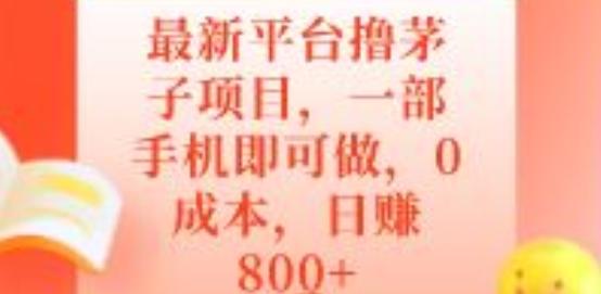 最新平台撸茅子项目，一部手机即可做，0成本，日赚800+-鼎誉项目网