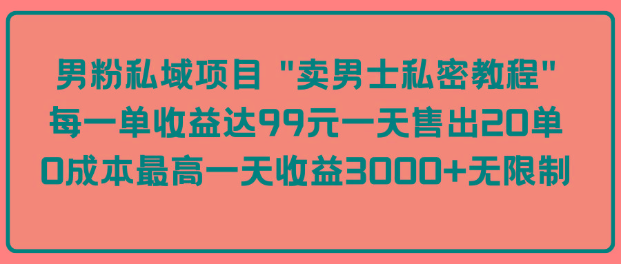 (9730期)男粉私域项目 “卖男士私密教程” 每一单收益达99元一天售出20单-鼎誉项目网
