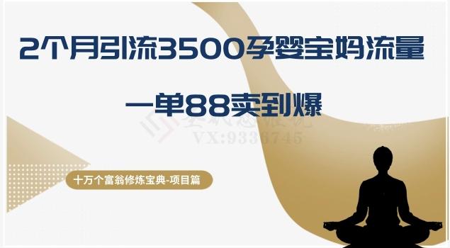 十万个富翁修炼宝典之13.2个月引流3500孕婴宝妈流量，一单88卖到爆-鼎誉项目网