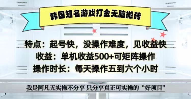 全网首发海外知名游戏打金无脑搬砖单机收益500+ 即做！即赚！当天见收益！-鼎誉项目网
