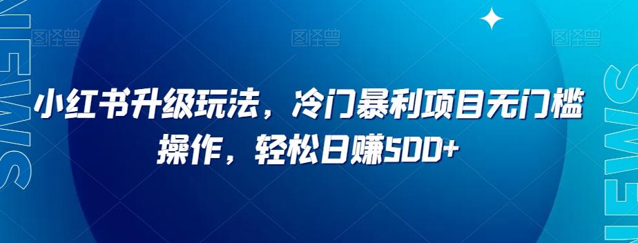 小红书升级玩法，冷门暴利项目无门槛操作，轻松日赚500+【揭秘】-鼎誉项目网
