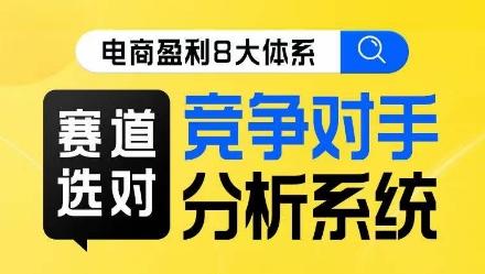 电商盈利8大体系·赛道选对，​竞争对手分析系统线上课-鼎誉项目网