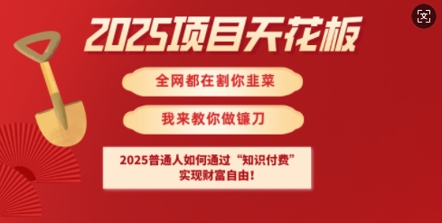 2025项目天花板普通人如何通过知识付费，实现财F自由【揭秘】-鼎誉项目网