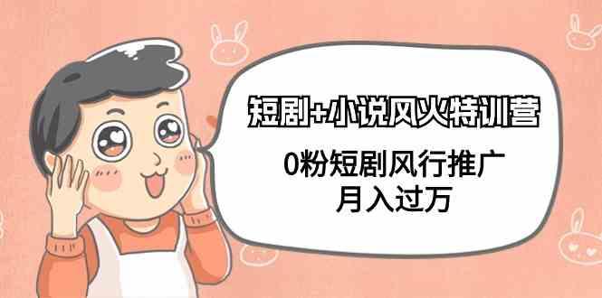 小说+短剧风火特训营，0粉短剧小说风行推广，实现月入过万-鼎誉项目网