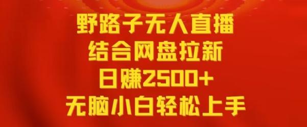 野路子无人直播结合网盘拉新，日赚2500+，小白无脑轻松上手【揭秘】-鼎誉项目网